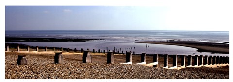 Framed Beach Study IV Print