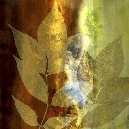 Framed Lush Sunlight Print