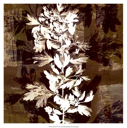 Framed Prairie Mix III Print