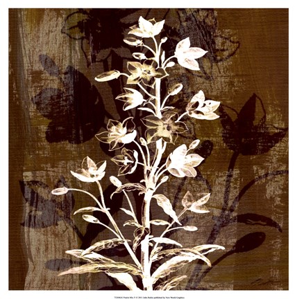 Framed Prairie Mix V Print