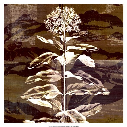 Framed Prairie Mix VI Print