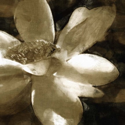 Framed Bronze Lily III Print