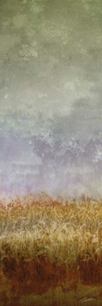 Framed Lush Field II Print