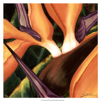 Framed Bird Of Paradise Tile II Print