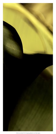 Framed Leaf Detail II Print