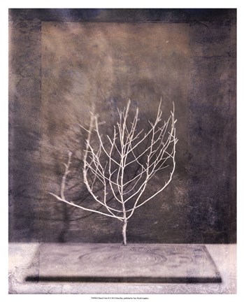 Framed Desert Form II Print