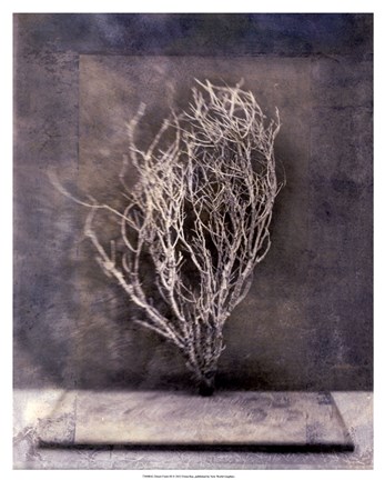 Framed Desert Form III Print