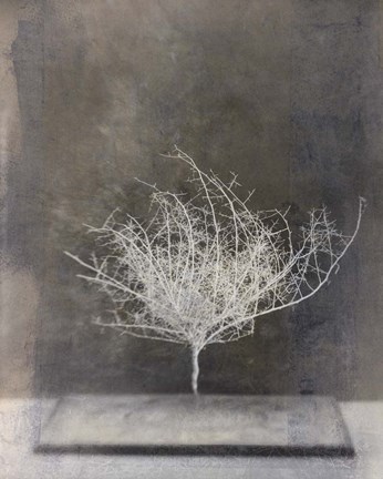 Framed Desert Form VI Print