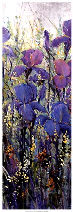 Framed Iris Field II Print