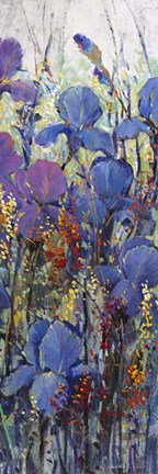 Framed Iris Field III Print