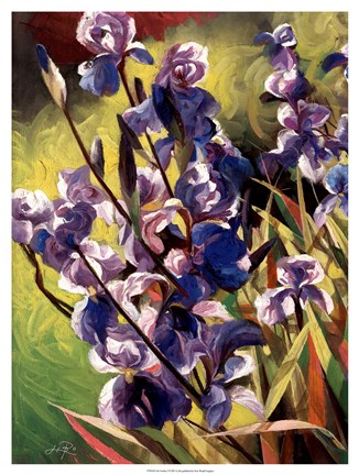 Framed Iris Garden I Print