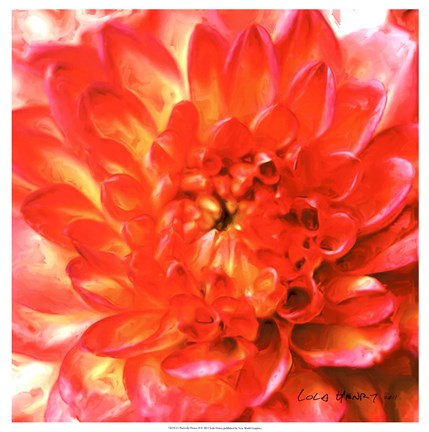 Framed Painterly Flower II Print