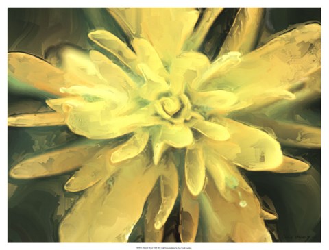 Framed Painterly Flower VII Print