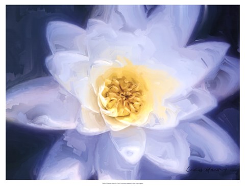 Framed Painterly Flower III Print