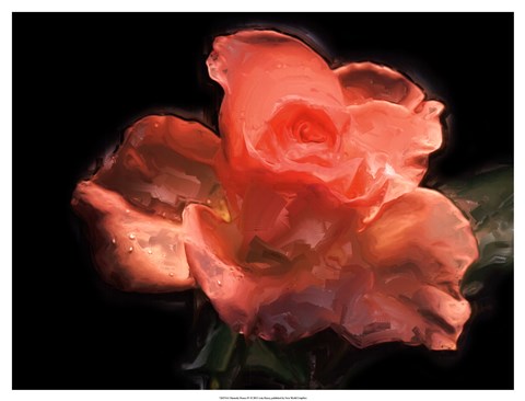 Framed Painterly Flower IV Print