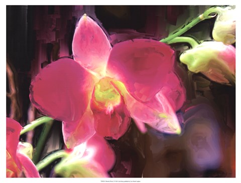 Framed Painterly Flower V Print