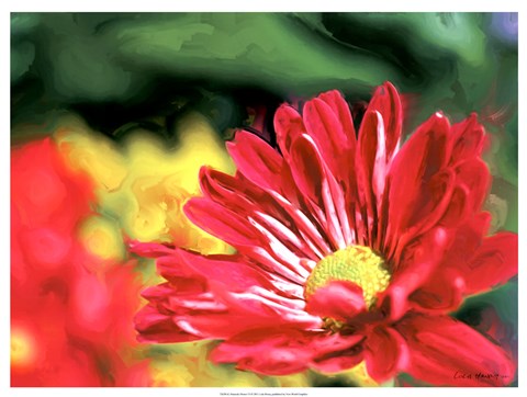 Framed Painterly Flower VI Print