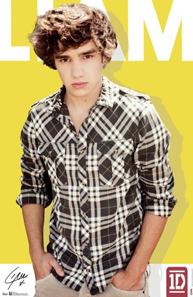 Framed One Direction - Liam Payne Print