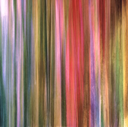 Framed Spectra Falls I Print