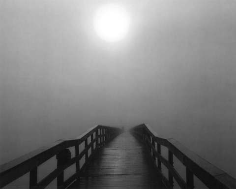 Framed Into the Fog I Print