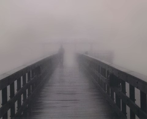 Framed Into the Fog II Print