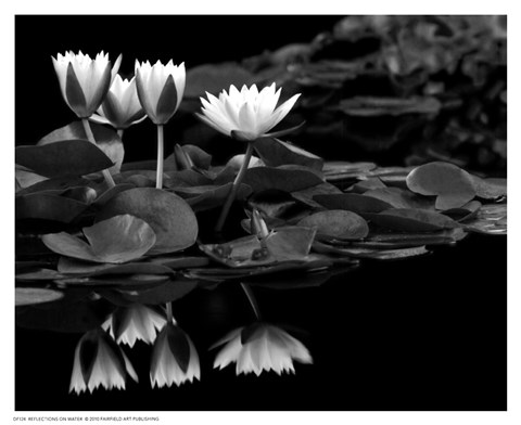 Framed Reflections on Water Print
