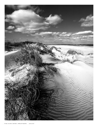Framed Dune Swale Print