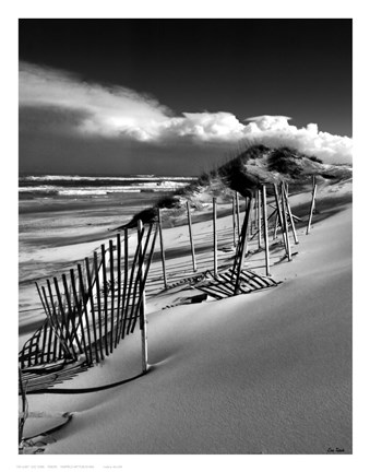 Framed Fences Print