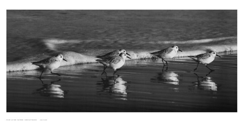 Framed Five Friends Print