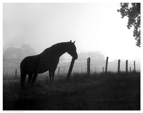 Framed Morning Pasture Print
