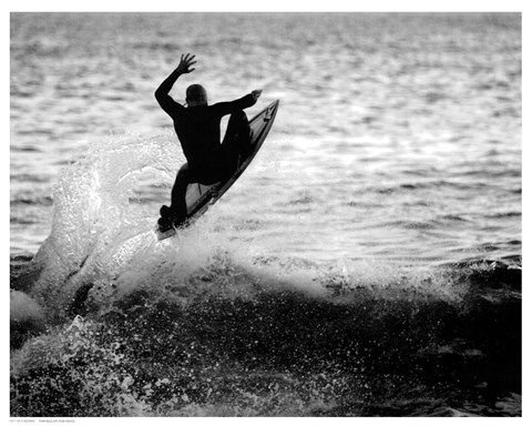 Framed Airborne Print