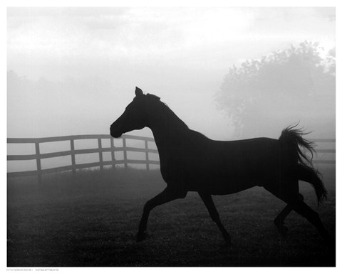 Framed Morning Pasture II Print