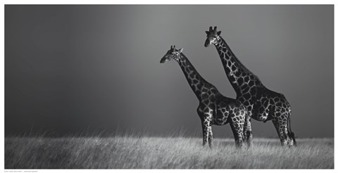 Framed African Skies II Print