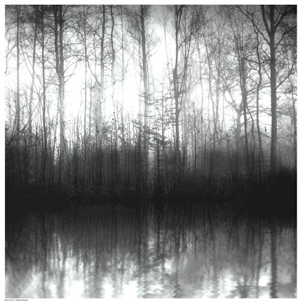 Framed Forest Mist Print