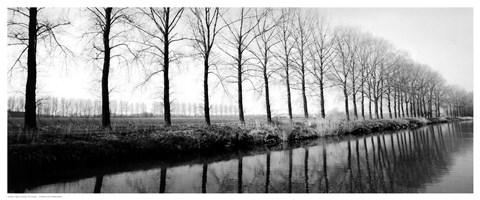 Framed Trees Along the Canal Print