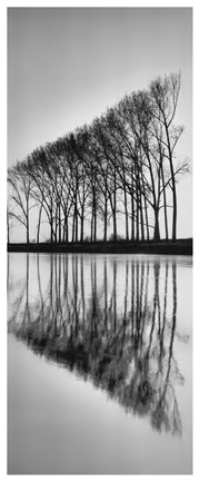 Framed Reflections Print