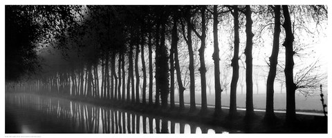 Framed Tree Lined Canal Print