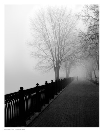Framed Promenade in the Mist Print