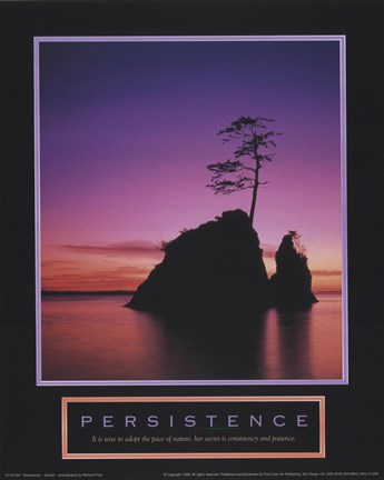 Framed Persistence-Sunset Print
