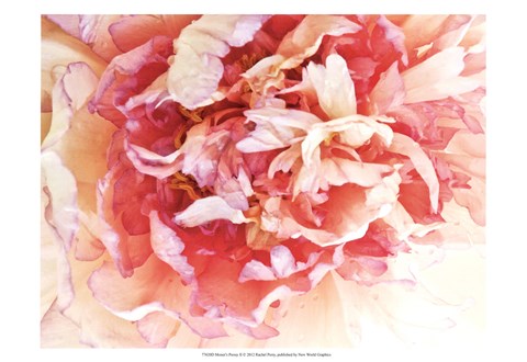 Framed Monet&#39;s Peony II Print