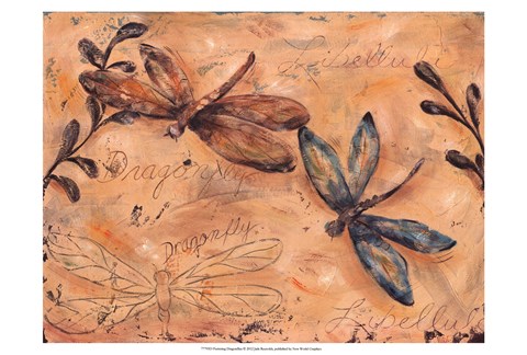 Framed Fluttering Dragonflies Print