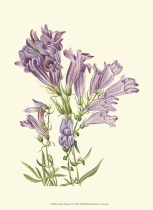 Framed Garden Potpourri V Print