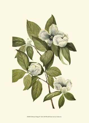 Framed Delicate Foliage II Print