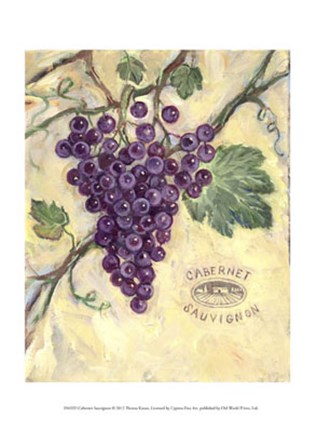 Framed Cabernet Sauvignon Print