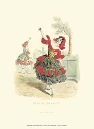 Framed Le Fleur AnimT VIII Print