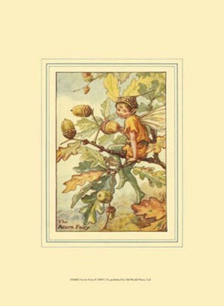 Framed Acorn Fairy Print