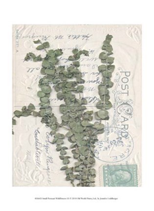 Framed Small Postcard Wildflowers III Print