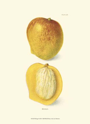 Framed Mango Print