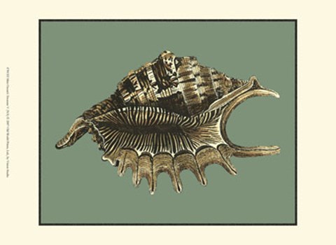 Framed Mini Ocean&#39;s Treasure V Print