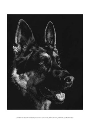 Framed Canine Scratchboard I Print